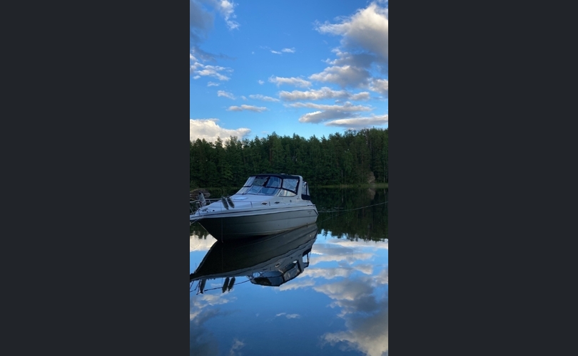 Wellcraft Martinique 2600-kuva-4